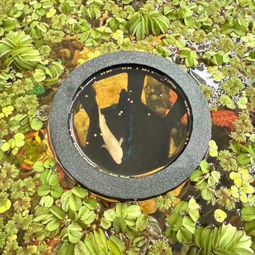 HOZOE Aquarium Betta Hammock, Betta Hideout & Cave, Floating Feeding Ring for Fish and Shrimp, Aquarium Floating Decoration Accessory (Black) - color: Black