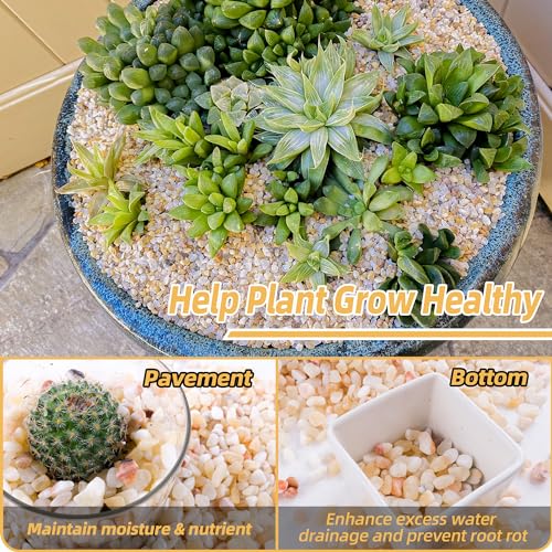 2.4lb Aquarium Gravel for Plants, 1/5Inch Outdoor Decorative River Rocks for Succulents and Cactus Landscaping, Garden Plant Rocks Natural Small Rocks Pea Gravel for Fish Tank Vases Terrarium
