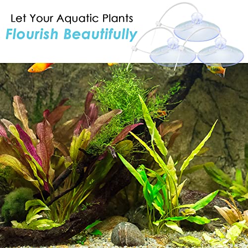 JOR 20 Suction Cups with 30 Adjustable Zip Ties for Aquarium Use, Multipurpose Fish Tank Tools Perfect for Pothos Plants, Binding Moss, Shrimp Nests, Holding Airline Tubing, and LED Lights