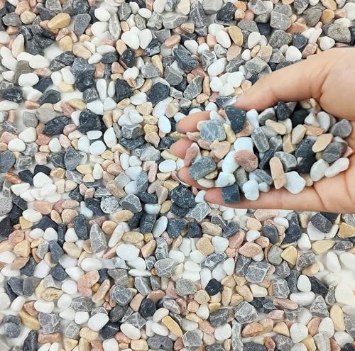 FANTIAN 2 lbs Succulent and Cactus Pebbles Gravel, 3/8 Inch Mixed Color Decorative River Rocks for Plants Indoor, Vases, Terrarium, Potted Top Dressing and Outdoor Decorative Stones - color: Mixed Color Gravel