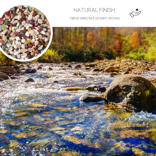3Lb Pebbles for Indoor Plants,River Rocks for Succulent Plants,Aquarium Gravel,Decorative Stones Bonsai Garden Pebbles,Aquarium Rocks for Landscaping,Plants,Vase Fillers (Multicolor) - color: Multicolor