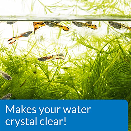 API ACCU-CLEAR Freshwater Aquarium Water Clarifier 8-Ounce Bottle - size: 8-Ounce
