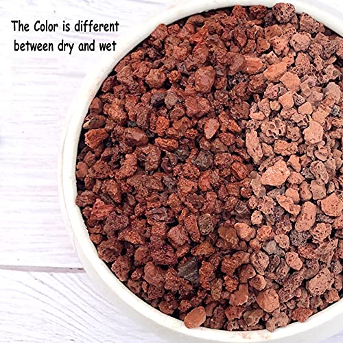 Boniosz 2lb Red Horticultural Lava Rock Soil Additive for Cacti, Vase Fillers, Succulents and Terrarium Plants - No Dyes or Chemicals - 100% Pure Volcanic Rock - color: Red Lava Rocks, size: 2lb