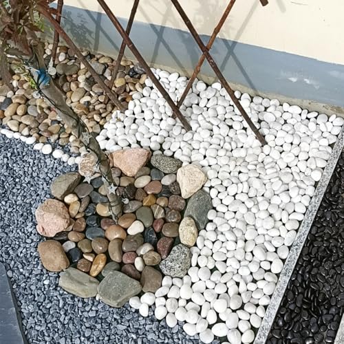 FANTIAN 5 lbs White Pebbles for Indoor Plants, 1-2 Inch Small White River Rocks for Plants, Decorative Polished Stones for Landscaping Vase and Outdoor Garden - color: White, size: 5 lbs, 1-2 Inch
