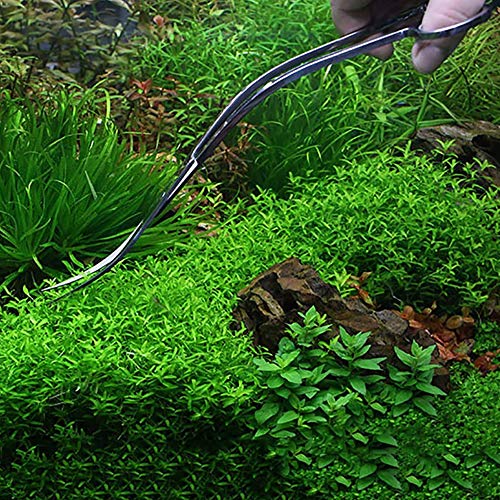 Stainless Steel Fish Tank Cleaning Starter Kit Aquarium Curved Tweezer Scissors Spatula Tools - 48cm Tweezers - size: 48cm Tweezers