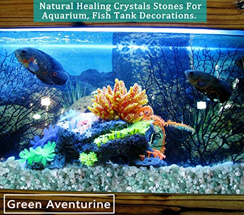 MAIBAOTA Natural Green Aventurine Crystal Quartz Rocks Chips Vase Filler Rocks for Succulent Plant Small Fish Tank Aquarium Gravel Decorative Pebbles Stones(200 gram) - color: Green-aventurine, size: 0.45 Pound