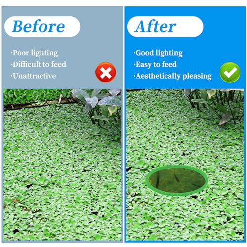 Jeffdad 5pcs Aquarium Floating Plant Rings, Foam Floaters Plant Corral Fish Feeding Ring Aquarium Feeding Ring, for Intercepts Floating Plants(Green)