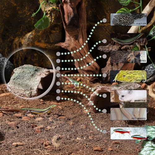 IBWell 2 Pack Aquarium Hideout Reptile Cave Betta Log Resin Hollow Tree Trunk Ornament Terrarium Tank Decoration for Fish Turtle Small Reptile - Long - size: 2.35"*3.78"*2.56"