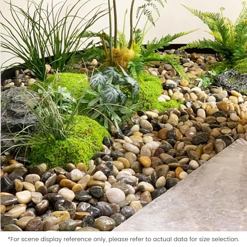 SIDONG 5 LB Mixed River Rocks, 0.4-1.2 Inches Highly Polished Pebbles for Indoor Plants, Decorative Stones for Plants, Fish Tank, Vases, Home Décor, Crafting, Garden Landscaping - color: Mixed, size: 5 lbs,0.4-1.2inch