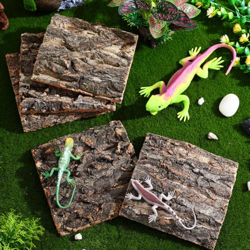 SOIMISS 5 Pcs Reptile Cork Bark Background for Terrarium Natural Tree Bark Hideout and Climbing Wall Vivarium Decor for Gecko Bearded Dragon Turtle and Lizard Tanks