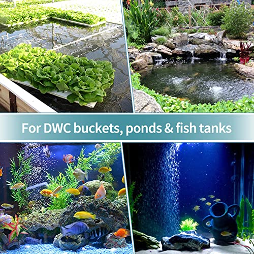 Pawfly Aquarium Air Stone Ball 2 Inch, Airstones for Aquarium Fish Tank Bucket Pond and DWC Reservoir, 2 Pack - size: 2 Pack