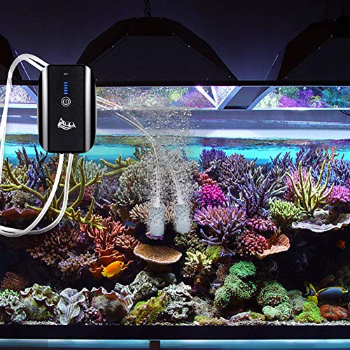 AQQA Aquarium Air Pump, Battery Rechargeable Portable Bubbles Oxygen Pump for Fresh & Saltwater Aquariums with Air Stone, Tubes, USB Cable and Adapter (2.5 W for 1-140Gal Tank) - size: 2.5 W for 1-140Gal tank
