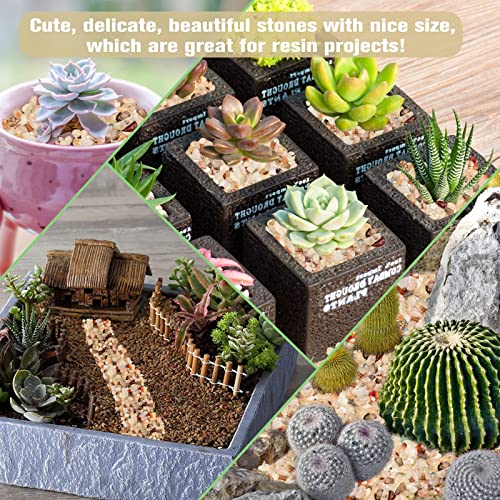 Halatool 1LB Crystal Pebbles 0.27"- 0.79" Natural Landscaping Pebbles Aquarium Gravel Decorative Polished Stone Suitable for Plants Home Decoration DIY Handmade Fish Tanks Vase Filler - size: 1 LB, style: Crystal Pebbles
