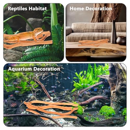 250g Natural Driftwood for Aquarium, Mix Natural Wood Roots, Wood Long Driftwood, Applies to Reptile Branches Terrarium, Driftwood for Aquarium Decor