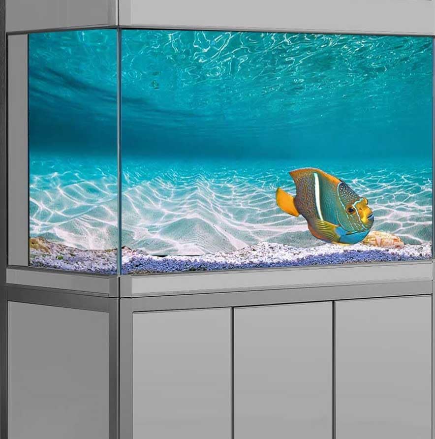 60X24IN Natural Undersea Aquarium Background, Undersea Beach Fish Tank Background, with 8 EVA Double-Sided Tape - color: Sea, size: 60X24in/150X60cm