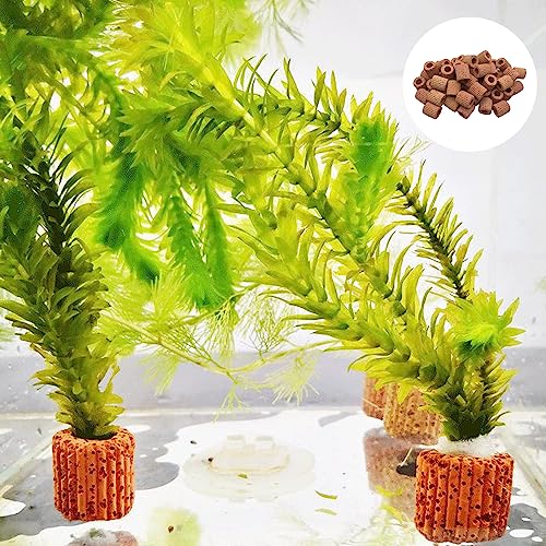 20 Pcs Aquatic Water Plant Fixed Rings, Aquarium Landscape Ceramic Pottery Plant Pot Gravity Ring for Fish Tank Accessories - size: Small