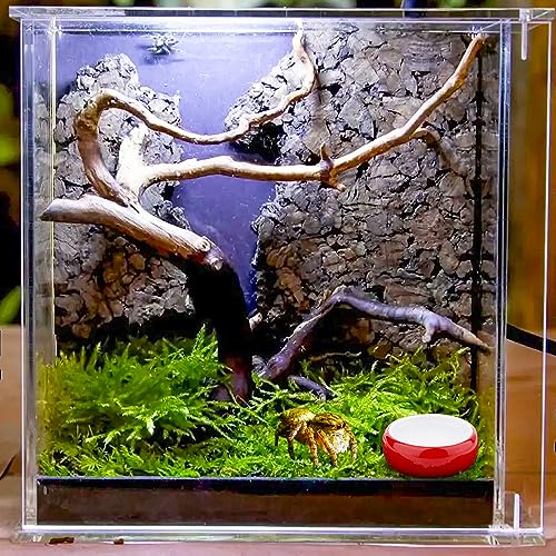 4 Pcs Hermit Crab Colorful Food Bowl Tarantula Water Bowl Spider Micro Ceramic Dish