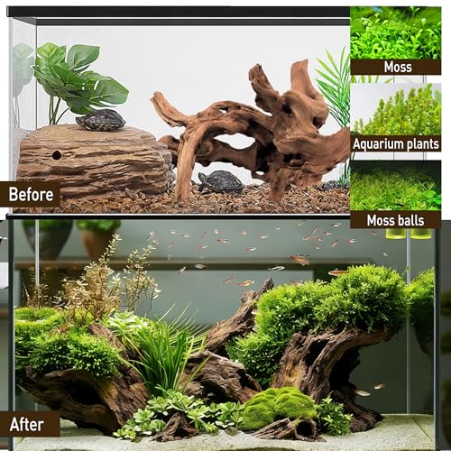 Kaiyuan Dynasty 2Pcs 10-12" Natural Coral Driftwood for Fish Tank Decorations Aquarium Driftwood for Reptile Aquatic Plants Aquascaping - size: Driftwood 10 to 12 Inch(Pack of 2)