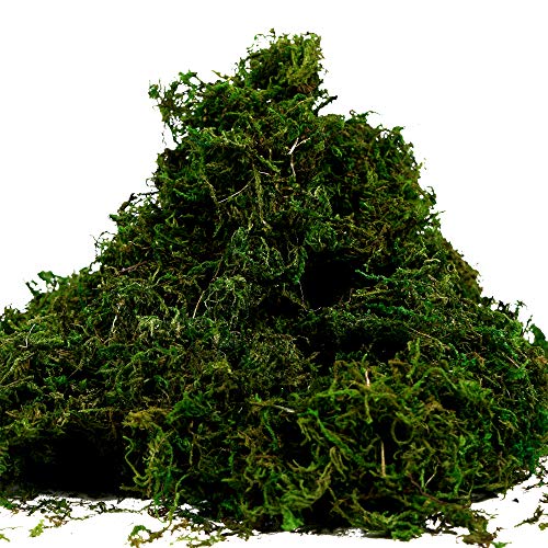Artificial Moss Fake Green Grass for Centerpieces Home Kitchen Garden Decor (3.5OZ, Fresh) - color: 3.5oz, Fresh