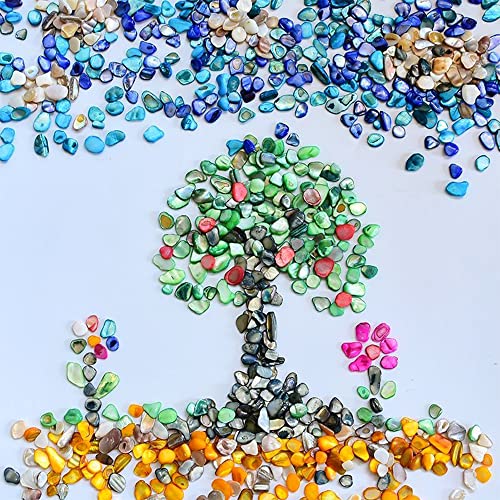 QICQDRAM Crushed Shells for Crafts About 1LB (405g/14.28oz) Small Natural Crushed Shells Bulk for Crafts DIY Beaching Wedding Decoration Vase Fillers (Natural Color) - color: Natural Color, size: 1LB (405g/14.28oz)