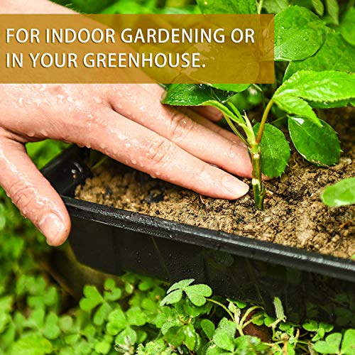 YoleShy 10 Pack Seed Starter Tray Reusable Plastic Plant Seedling Starter Trays Thickened Sturdy Durable for Germination Growing Microgreens Planting Propagation, Without Drain Holes, 14.5"x9" - size: 10 Pack - Black