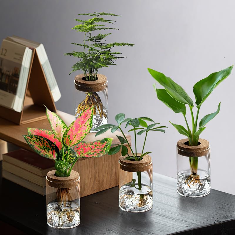 Borosilicate Glass Hydroponic Planter With Natural Wooden Lid Clear Cylinder Vase Transparent Root Viewing Suitable For Desktop Display Water Growing Plants Small Aquarium Use Or Minimalist Home Decor