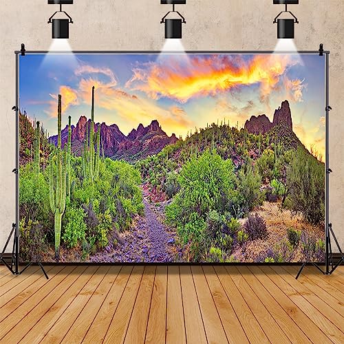 7x5ft Western Desert Backdrop Arizona National Park Rock Mountain Green Plants Saguaro Cactus Landscape Terrarium Background Reptile Habitat Tank Decor Cowboy Pet Portrait Photo Shoot Props - size: 7x5ft