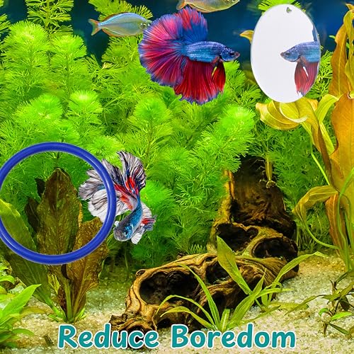 Betta Fish Enrichment Toys Ring and Mirror , Floating Exercise Mirrors And Training Ring, Floating Mirrors Aquarium With Feeding Rings, Fish Toys, Betta Fish Tank Accessories (Blue+Mirror, 6.4cm) - color: Blue+Mirror