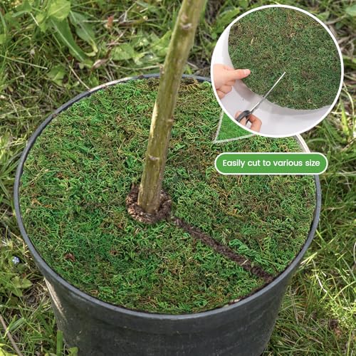 Canlierr 12 Pack Dried Moss Mats Sheets for Crafts, 10/12 Inch Round Green Preserved Moss Placemats for Wedding Party Birthday DIY Garden Plants Decor Home Table Decoration(12 Inch) - size: 12 Inch