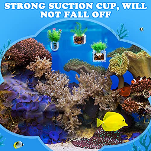 Potchen 20 Pcs Aquarium Plant Holder with Hole Transparent Acrylic Suction Cup Aquarium Aquatic Planter Cups Fish Tank Aquascape Decoration, 3 Shapes