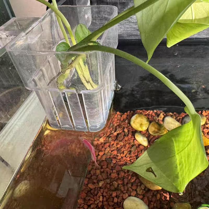 4PCS Clear Acrylic Aquarium Plant Holder Hanging Cups for Aquatic Plants Fish Tank