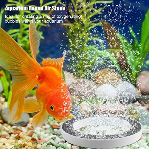 Bubble Stones, Shape Bubble Stone for Increasing Oxygen & Embellishing Aquarium Pond Fish Air Pump Accessories(100*H12mm) - size: 100*H12mm