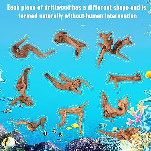 Suzile 20 Pcs Small Natural Coral Driftwood for Aquarium 4-7 Inches Driftwood Assorted Shapes Reptile Terrarium Decor Drift Wooden Branch for Fish Tank Aquarium Decoration