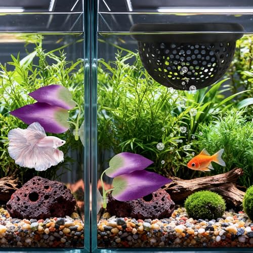 3Pcs Betta Fish Tank Accessories-Floating Betta Hide & Fish Leaf Hammock, Feeder, Hiding Spots for Betta Fish