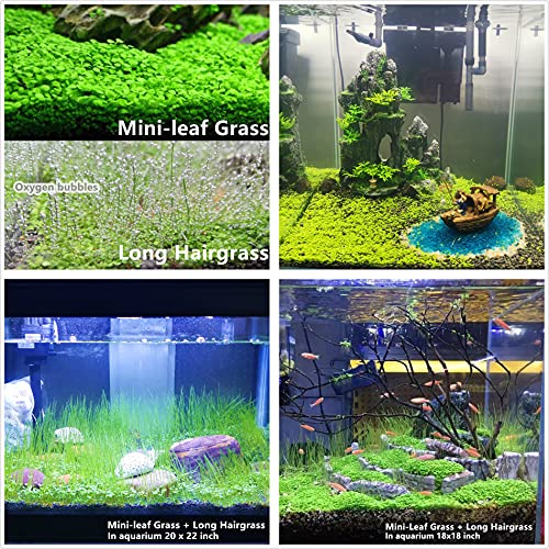3 Pack Aquarium Plant s-e-e-d Combo,Fish Tank Tree Wood Grass Carpet Decor Decoration Ornaments 04MML