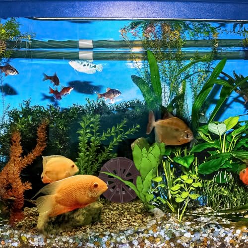 uxcell 4 Pcs Fountain Water Wheel, 1.4 Inch Desktop Fortune Statue Aquarium Wheels Decor Water Fountains Wheel Brown - size: 1.4 Inch