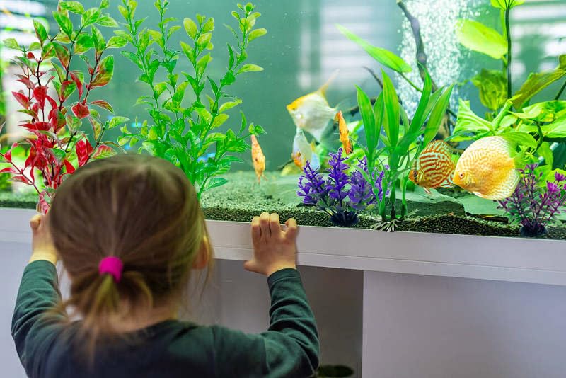 Plastic Aquarium Plants Decoration Accessories, Artificial Fish Tank Decor Plant 10 PCS