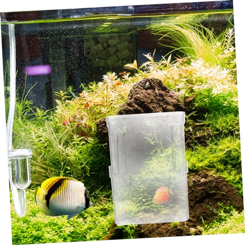 VICASKY 4Pcs Small Fish Tank Isolation Boxes Suction Cup Breeding Container for Guppy Hatching Easy to Install and Clean Compact Design for Safe Fish Acclimation and Isolation