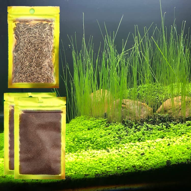 3 Pack Aquarium Plant s-e-e-d Combo,Fish Tank Tree Wood Grass Carpet Decor Decoration Ornaments 04MML