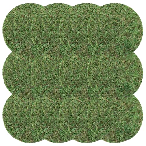 Canlierr 12 Pack Dried Moss Mats Sheets for Crafts, 10/12 Inch Round Green Preserved Moss Placemats for Wedding Party Birthday DIY Garden Plants Decor Home Table Decoration(10 Inch) - size: 10 Inch