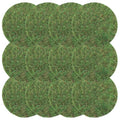 Canlierr 12 Pack Dried Moss Mats Sheets for Crafts, 10/12 Inch Round Green Preserved Moss Placemats for Wedding Party Birthday DIY Garden Plants Decor Home Table Decoration(10 Inch) - size: 10 Inch