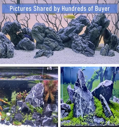 5LBS Aquarium Rocks Seiryu Stone Natural Hardscape Stone for DIY Aquariums, Fish Tanks, Bonsai, Paludarium Amphibian Enclosures (5Lb (3-8 inch), Seiryu Stone) - size: 5Lb (3-8 inch)