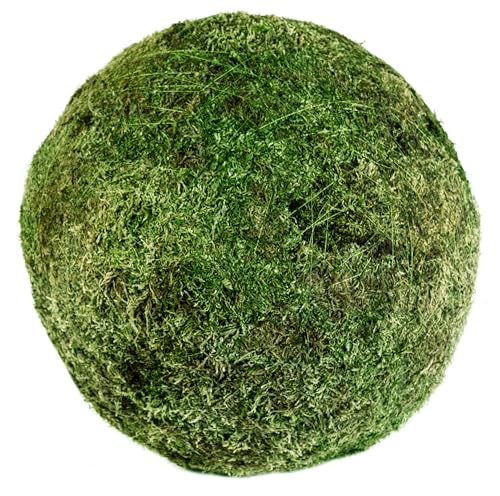 SuperMoss (21679 Moss Balls – Preserved Decorative Moss Balls for Home Décor, Vase Fillers, Centerpieces, Terrarium & Wedding Décor, Natural Green Moss Décor Balls, 18", Fresh Green - color: Fresh Green, size: 18"