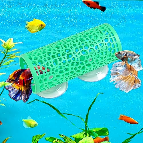 Abizoo Betta Fish Tunnel Hideout for Aquarium Decoration Hollow Coral Design Smooth Finish, Fish Tank Accessories Habitat Cave for Betta Shrimp Guppies Neon Tetras Zebra Danios Small Fishes,Mint Green - color: Mint Green