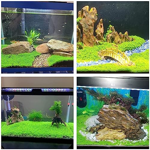 Aquarium P.l.a.n.t for Fish Tank Not Plastic Artificial P.l.a.n.t , 2 Pack , 0.7 Ounces