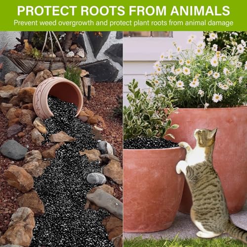 NUPICK 6lb River Rocks for Plants Indoor, 1/5 Inch Black Pebbles for Vases Fillers, Decorative Pea Gravel for Fish Tank, Natural Polished Stones for Succulent, Bonsai, Landscaping, Bird Baths - color: BLACK, size: 6Lb(1/5")