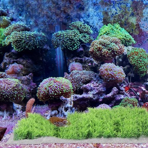 balacoo 10pcs Aquarium Mesh Screen Stainless Steel Wire Mesh Pad Fish Tank Plants Moss Net for Aquatic Plants Decor