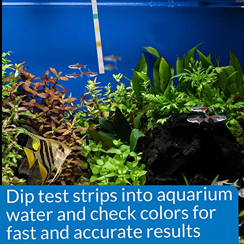 API 5-in-1 Test Strips Freshwater and Saltwater Aquarium Test Strips 25-Count Box