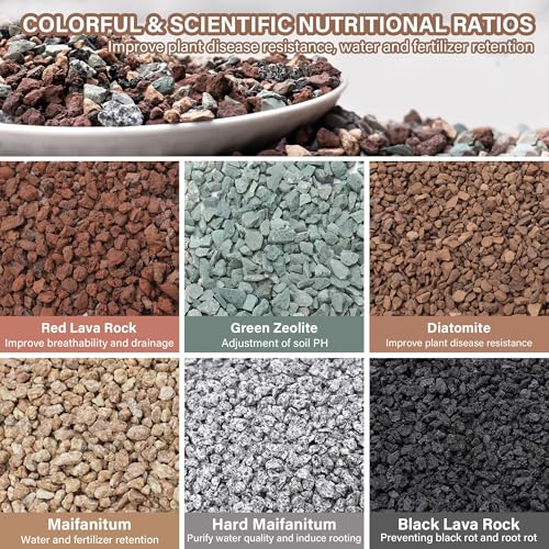 6lb Mix Horticultural Lava Rocks for Plants, 3/8" Colorful Succulent Potting Soil Amendments, Decorative Gravel for Cactus, Bonsai Gritty Rock, Pebbles Pumice for Vase Fillers, Top Dressing - color: Mixed, size: 6 Lb