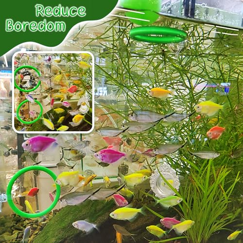 Betta Fish Enrichment Toys Ring and Mirror Floating Exercise Mirrors and Training Ring Floating Mirrors Aquarium with Feeding Rings Aquarium Accessories with Suction-Cup (Green) - color: Green